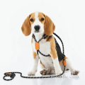 New dog leash lead